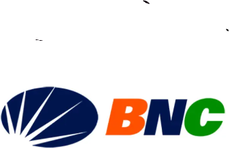 BNC